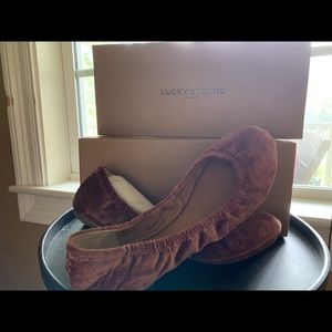 Lucky brand cute velvet flats! Never worn!